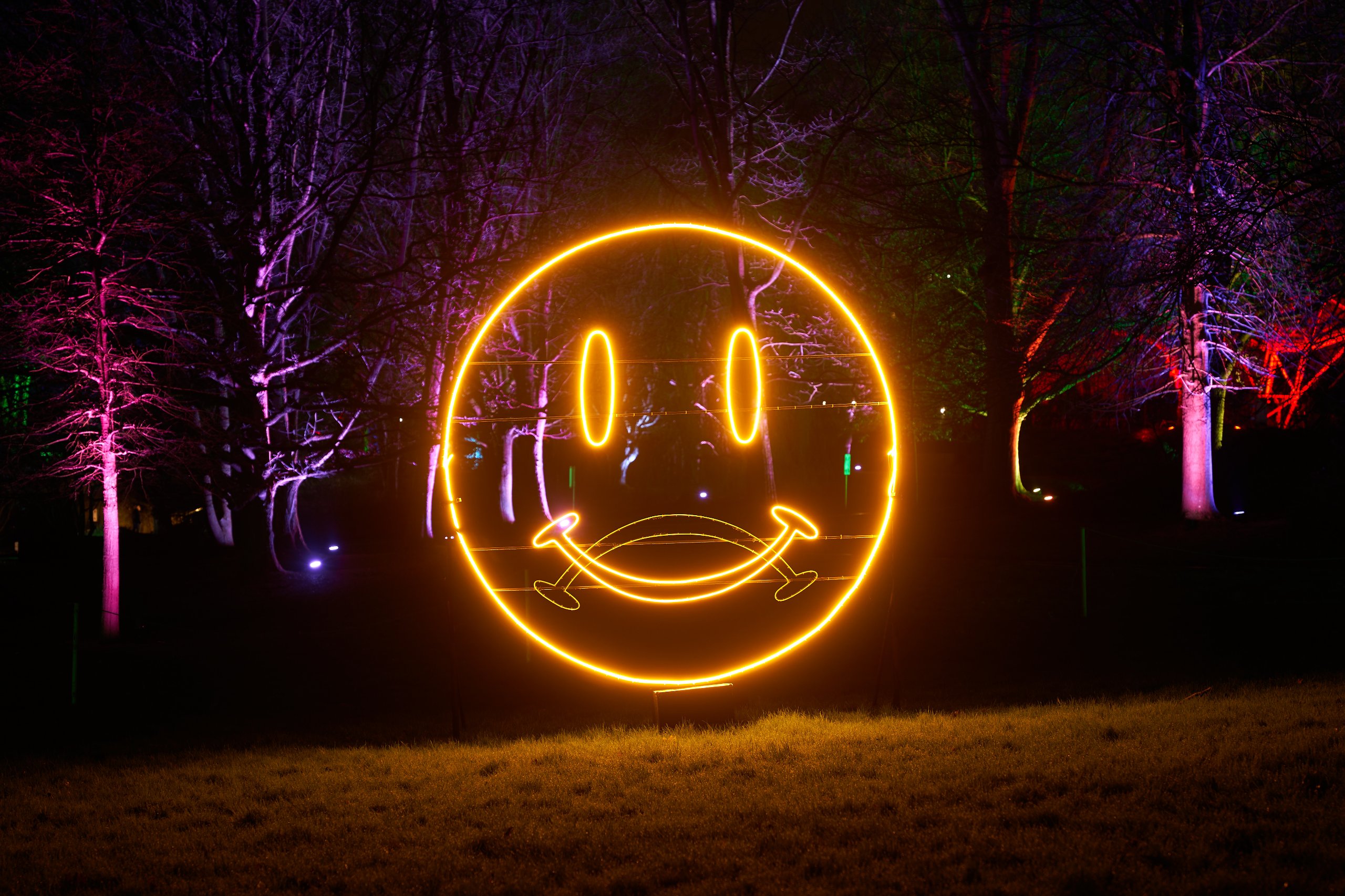 2024 02 23 Parkleuchten 0219